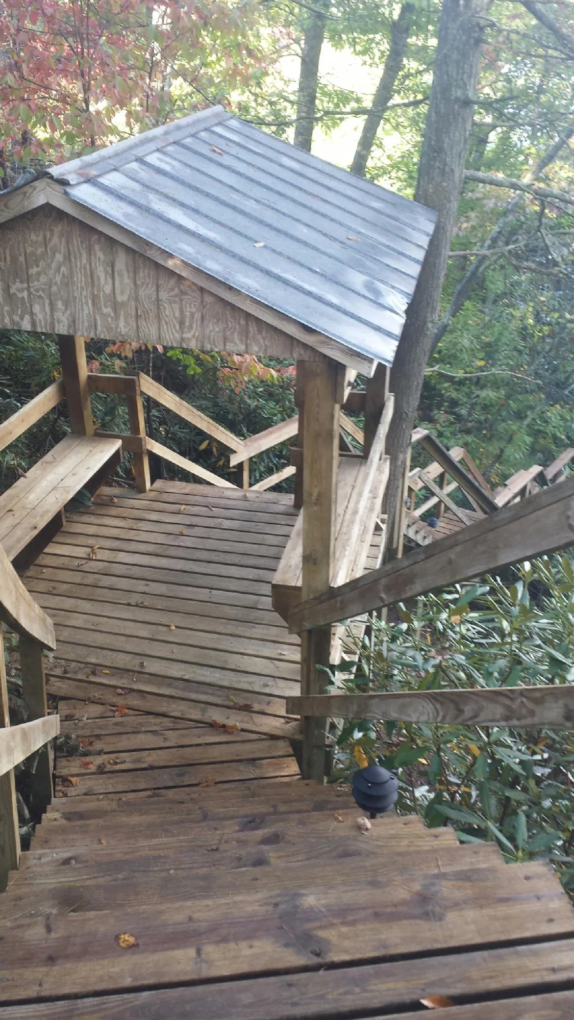 Metal roofed shelter over wooden steps on a wooded walkway — Skylight Repair & Installation work by our crew in Running Springs