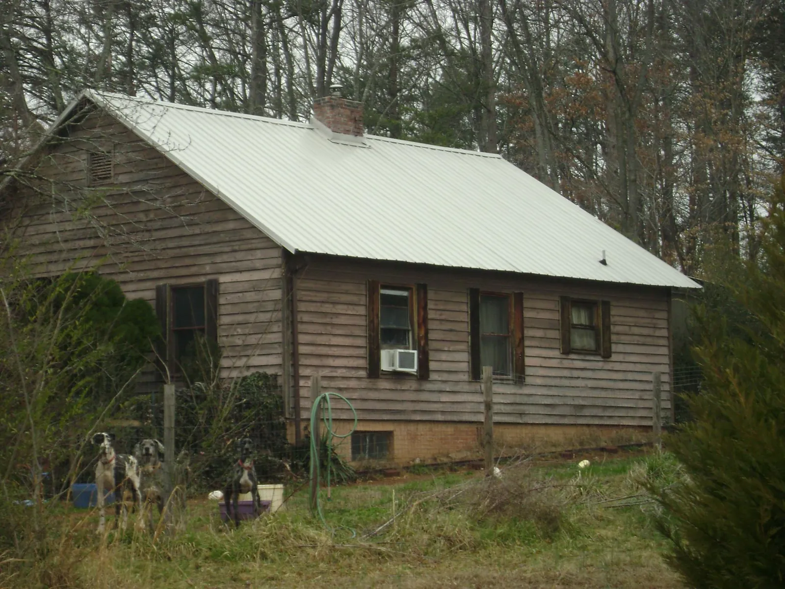 White metal roof on an old wood sided farmhouse, from a Metal Roof Installation job in Running Springs